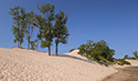 Fall Views of Sandbanks Dunes