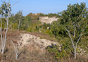 Fall Views of Sandbanks Dunes