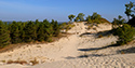 Fall Views of Sandbanks Dunes