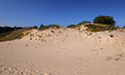Fall Views of Sandbanks Dunes