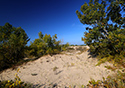 Fall Views of Sandbanks Dunes