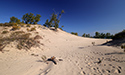 Fall Views of Sandbanks Dunes