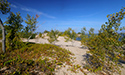 Fall Views of Sandbanks Dunes