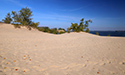 Fall Views of Sandbanks Dunes