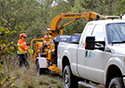 Buckthorn Blitz 2023