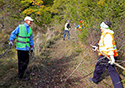 Buckthorn Blitz 2023