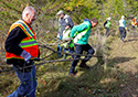 Buckthorn Blitz 2023