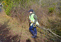 Buckthorn Blitz 2023