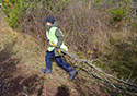 Buckthorn Blitz 2023