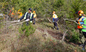 Buckthorn Blitz 2023