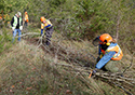 Buckthorn Blitz 2023