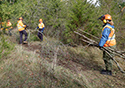 Buckthorn Blitz 2023