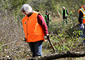 Buckthorn Blitz 2023