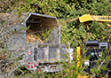 Buckthorn Blitz 2023