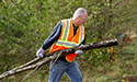 Buckthorn Blitz 2023