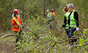 Buckthorn Blitz 2023
