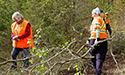 Buckthorn Blitz 2023
