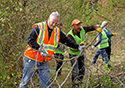 Buckthorn Blitz 2023