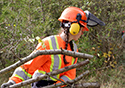 Buckthorn Blitz 2023
