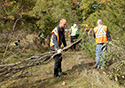 Buckthorn Blitz 2023