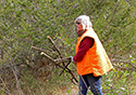 Buckthorn Blitz 2023