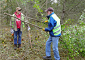 Buckthorn Blitz 2023