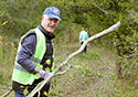 Buckthorn Blitz 2023