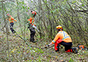 Buckthorn Blitz 2023