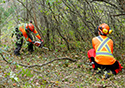 Buckthorn Blitz 2023