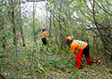 Buckthorn Blitz 2023