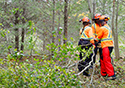 Buckthorn Blitz 2023