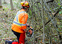 Buckthorn Blitz 2023