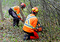 Buckthorn Blitz 2023