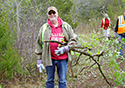 Buckthorn Blitz 2023