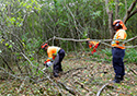 Buckthorn Blitz 2023