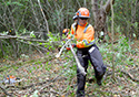 Buckthorn Blitz 2023