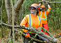 Buckthorn Blitz 2023
