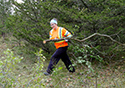 Buckthorn Blitz 2023