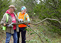 Buckthorn Blitz 2023