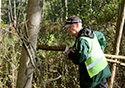 Buckthorn Blitz 2024
