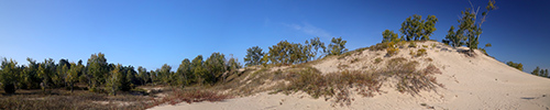 Sandbanks Park Fall Panoramas